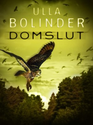 cover image of Domslut